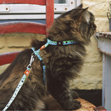 Cat Harness/Leash Set - Black Sheep