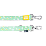 Multi Function Leash - Margarite