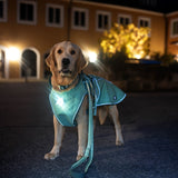 Raincoat for dogs - MATRIX 2.0 OCEAN