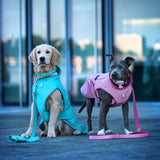 Raincoat for dogs - MATRIX 2.0 JADE