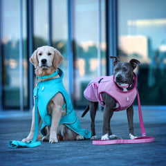 Max & Molly dog raincoat – waterproof, windproof, and adjustable for maximum comfort and protection.