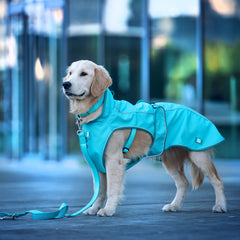 Max & Molly dog raincoat – waterproof, windproof, and adjustable for maximum comfort and protection.