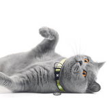 Smart ID Katzen Halsband - Kiwi