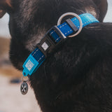 Smart ID Collar - Matrix Sky Blue