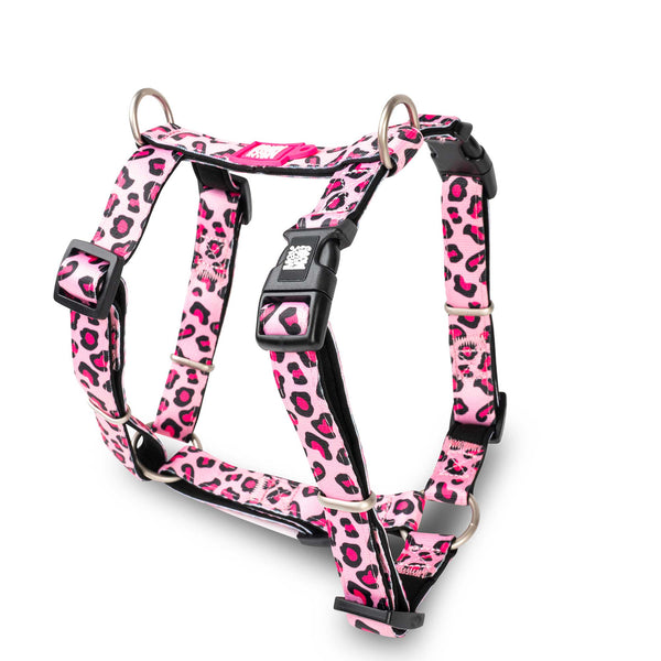 Buying Dog harness MOLLY, with flowers pattern, mint, rose and pink, dogs, accessories, harness, artificial leather, plants, stylish, nature, green