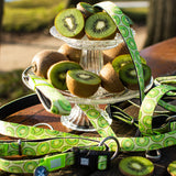 Multi Function Leash - Kiwi